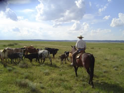 UhOh Ranch Parker, Colorado